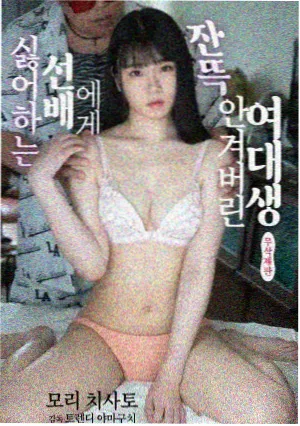 繁花 电视剧 免费